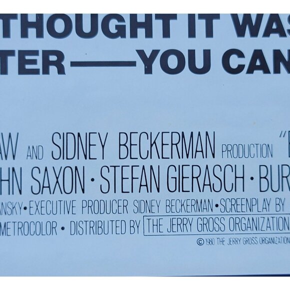 Blood Beach (1980) Original HORROR MOVIE STORE VHS PROMO POSTER 19”x 27” Summer - Picture 2 of 12